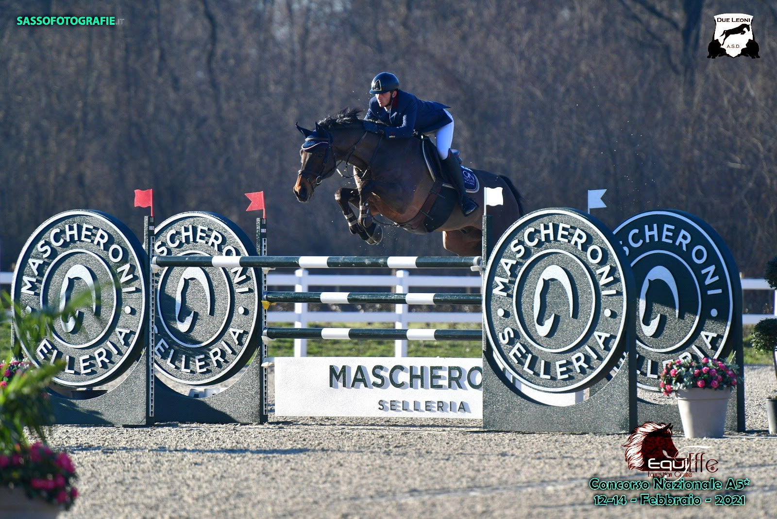 Fall tour Equieffe: a Gorla Mascheroni selleria aperti con tutto ciò di cui  hai bisogno per il tuo cavallo - Mascheroni Selleria